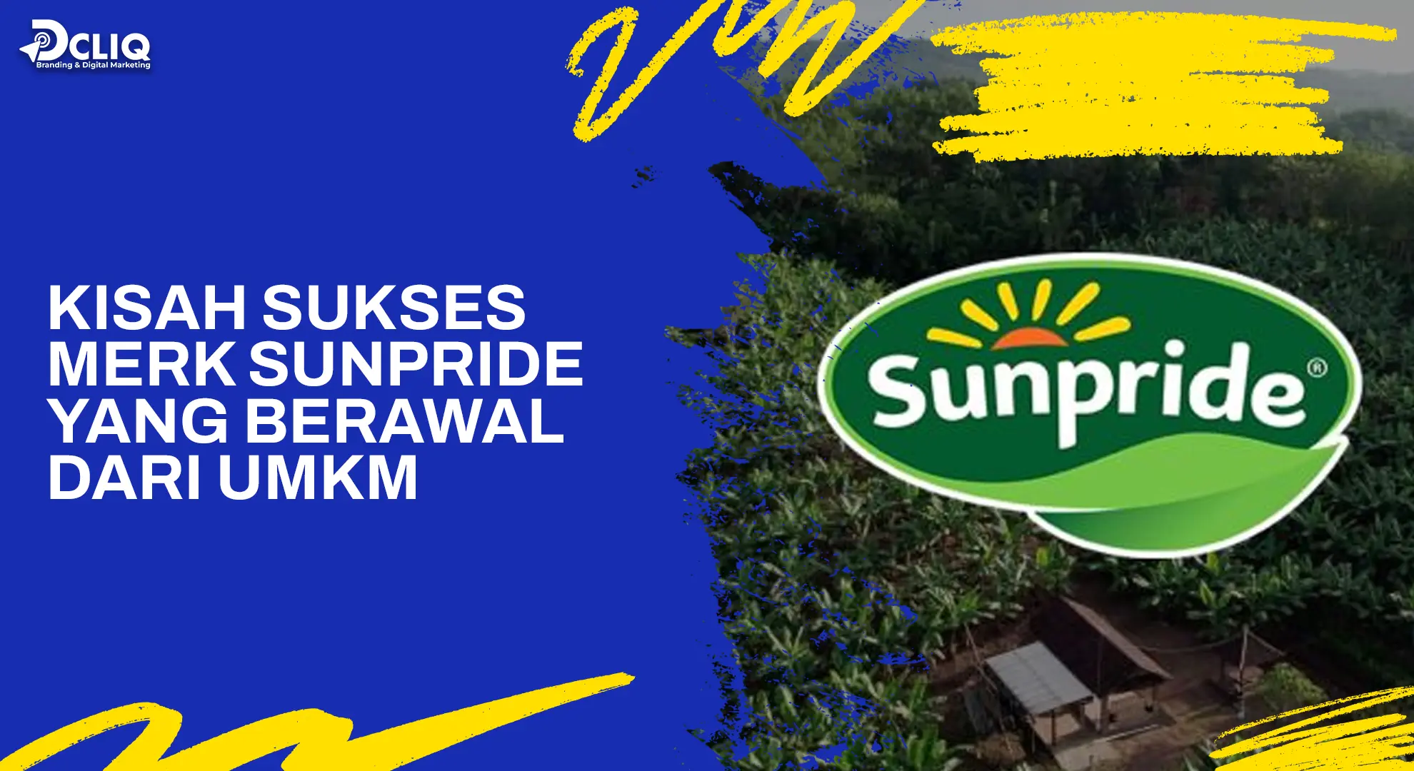 Kisah sukses merk sunpride yang berawal dari umkm